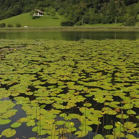 Otel Garni My Ledro Pieve Di Ledro